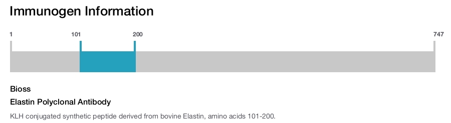 Elastin Polyclonal Antibody