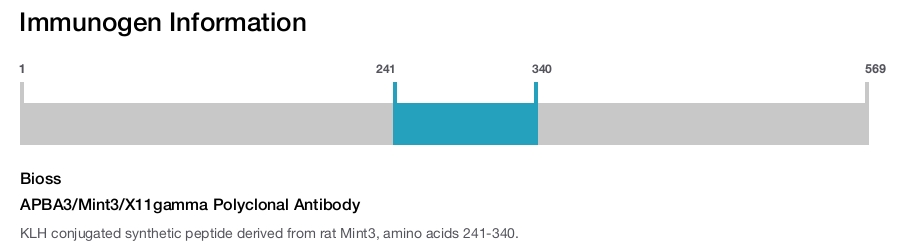 APBA3/Mint3/X11gamma Polyclonal Antibody