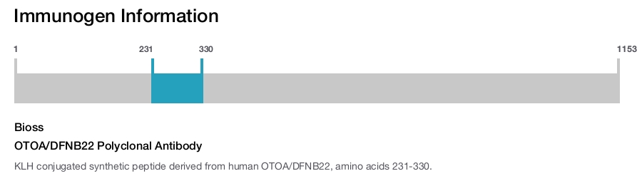 OTOA/DFNB22 Polyclonal Antibody