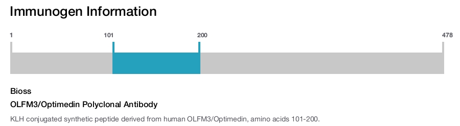 OLFM3/Optimedin Polyclonal Antibody