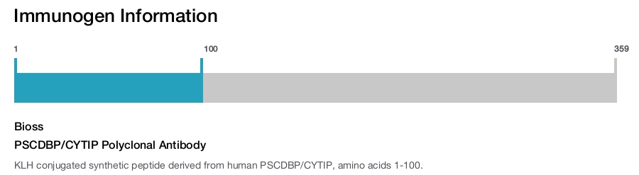 PSCDBP/CYTIP Polyclonal Antibody