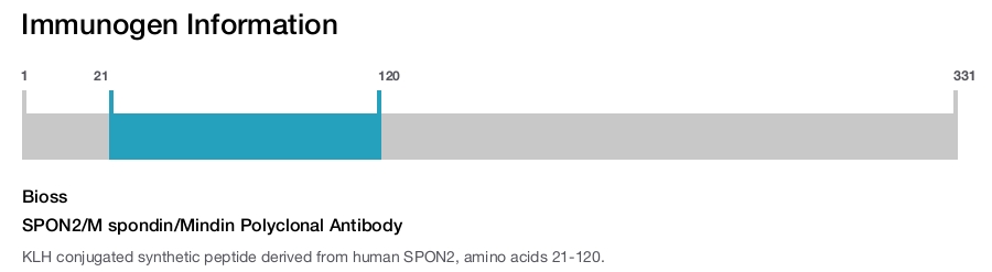 SPON2/M spondin/Mindin Polyclonal Antibody