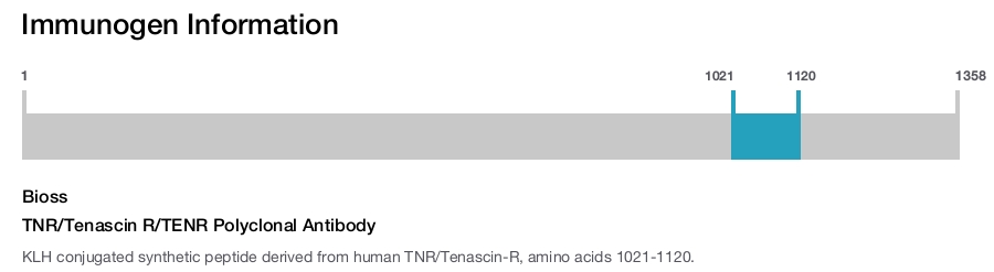 TNR/Tenascin R/TENR Polyclonal Antibody
