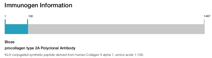procollagen type 2A Polyclonal Antibody