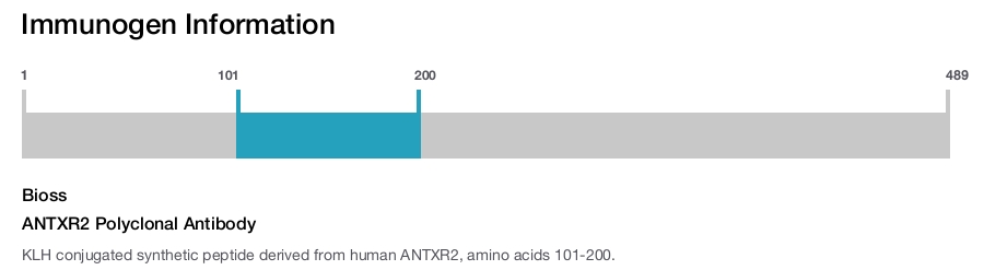 ANTXR2 Polyclonal Antibody