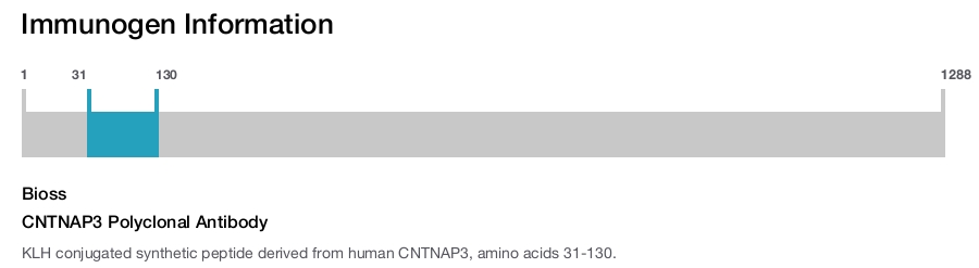 CNTNAP3 Polyclonal Antibody