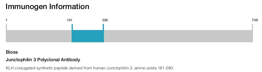 Junctophilin 3 Polyclonal Antibody