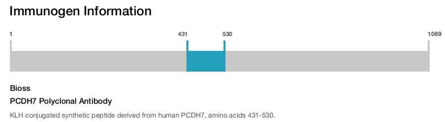 PCDH7 Polyclonal Antibody
