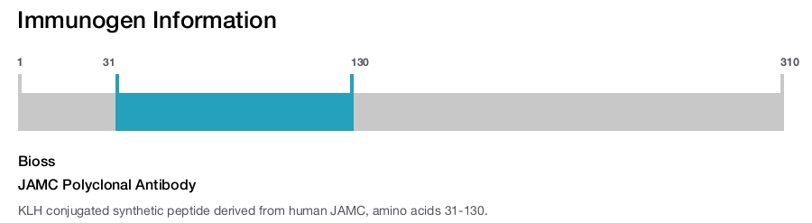JAMC Polyclonal Antibody