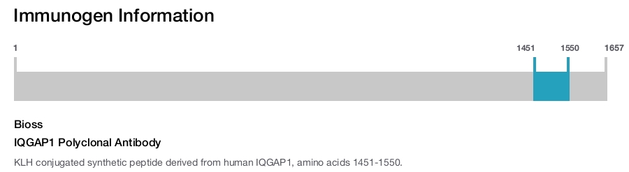 IQGAP1 Polyclonal Antibody