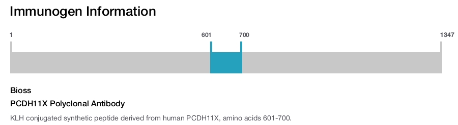 PCDH11X Polyclonal Antibody