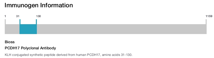 PCDH17 Polyclonal Antibody