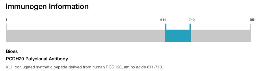 PCDH20 Polyclonal Antibody