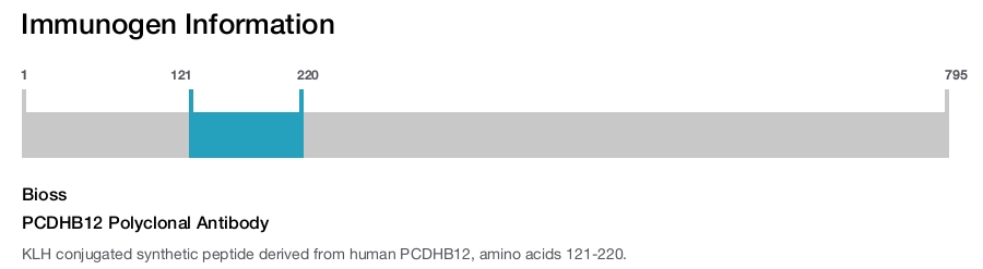 PCDHB12 Polyclonal Antibody