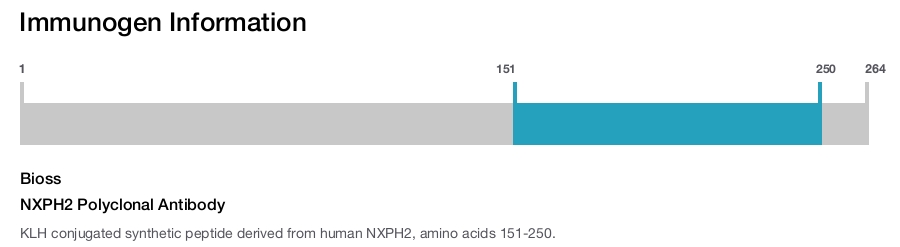 NXPH2 Polyclonal Antibody