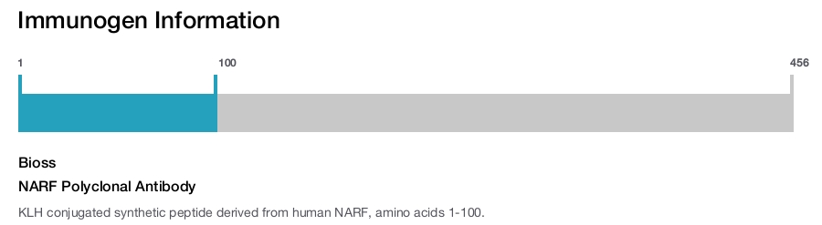 NARF Polyclonal Antibody