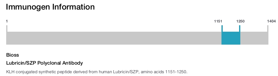 Lubricin/SZP Polyclonal Antibody