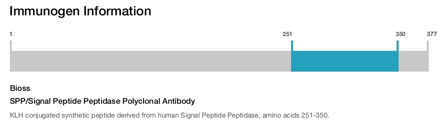 SPP/Signal Peptide Peptidase Polyclonal Antibody