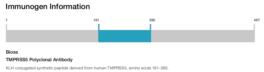 TMPRSS5 Polyclonal Antibody