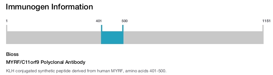 MYRF/C11orf9 Polyclonal Antibody
