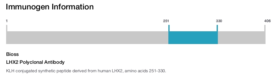 LHX2 Polyclonal Antibody