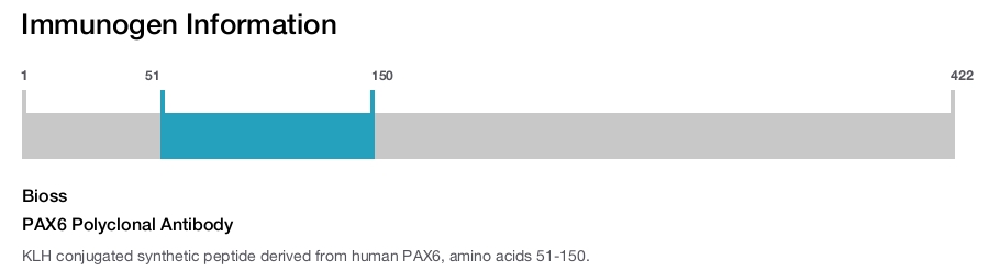 PAX6 Polyclonal Antibody