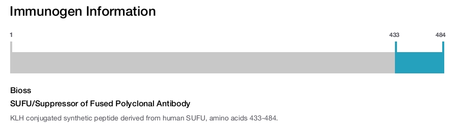 SUFU/Suppressor of Fused Polyclonal Antibody