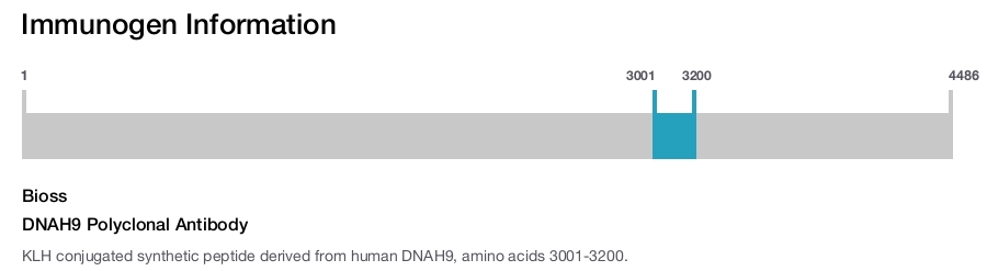 DNAH9 Polyclonal Antibody