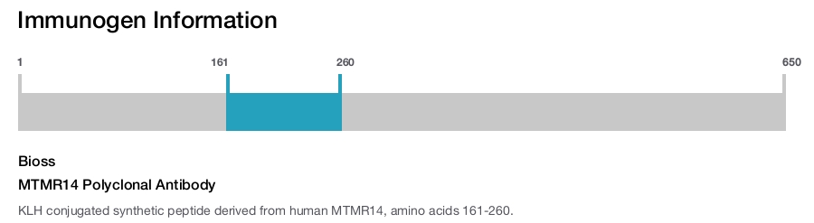 MTMR14 Polyclonal Antibody