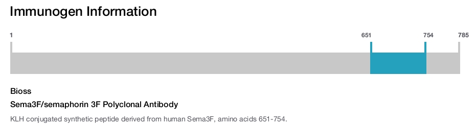 Sema3F/semaphorin 3F Polyclonal Antibody