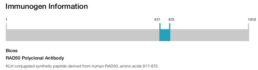 RAD50 Polyclonal Antibody