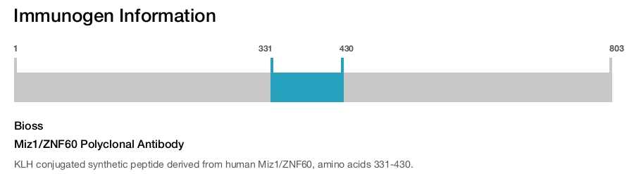 Miz1/ZNF60 Polyclonal Antibody