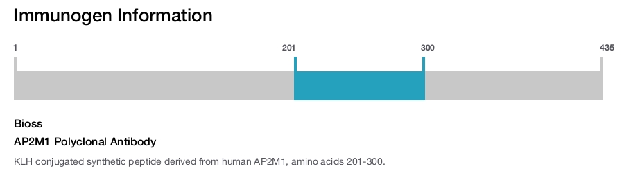 AP2M1 Polyclonal Antibody