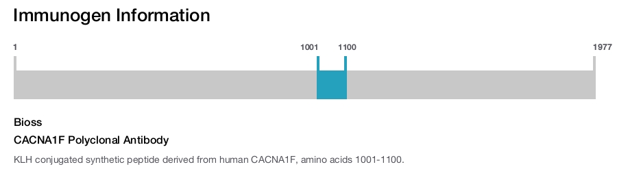 CACNA1F Polyclonal Antibody
