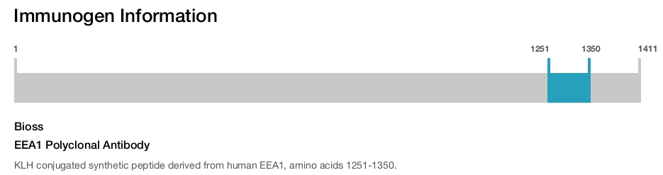 EEA1 Polyclonal Antibody