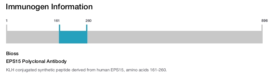 EPS15 Polyclonal Antibody