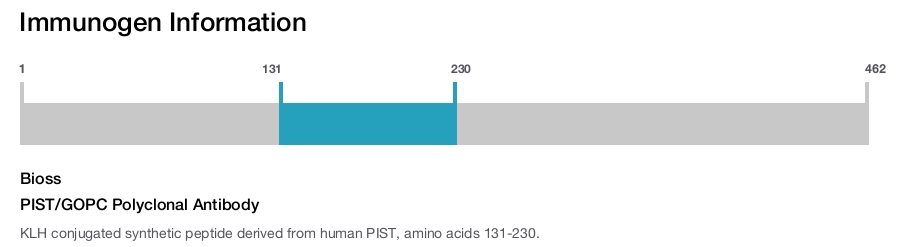 PIST/GOPC Polyclonal Antibody