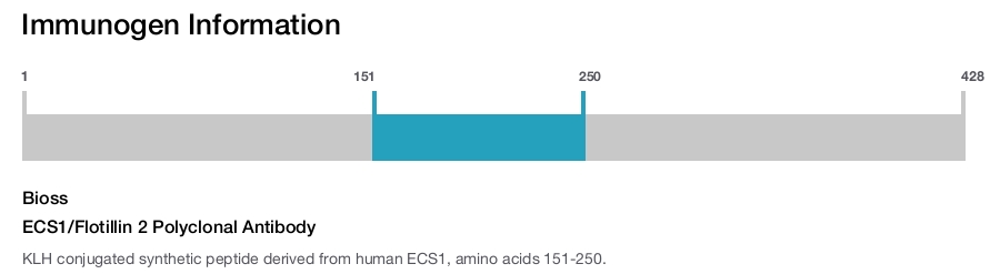 ECS1/Flotillin 2 Polyclonal Antibody