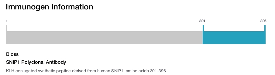 SNIP1 Polyclonal Antibody