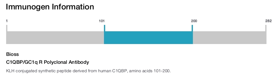 C1QBP/GC1q R Polyclonal Antibody