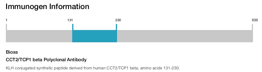 CCT2/TCP1 beta Polyclonal Antibody