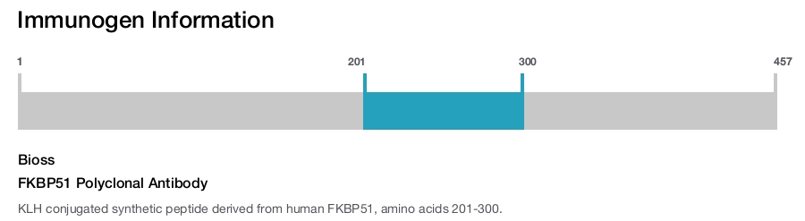 FKBP51 Polyclonal Antibody