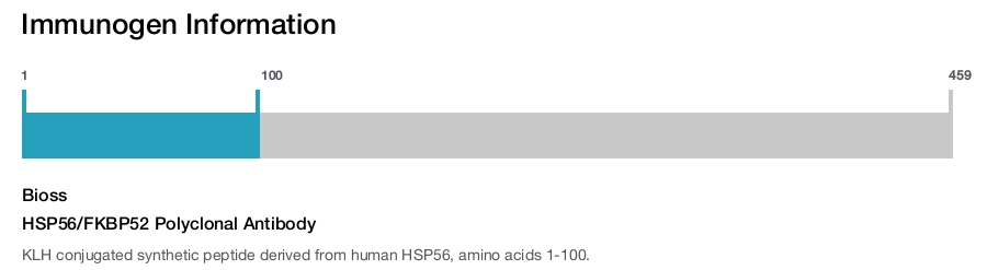 HSP56/FKBP52 Polyclonal Antibody