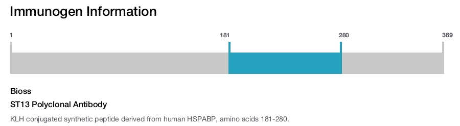 ST13 Polyclonal Antibody