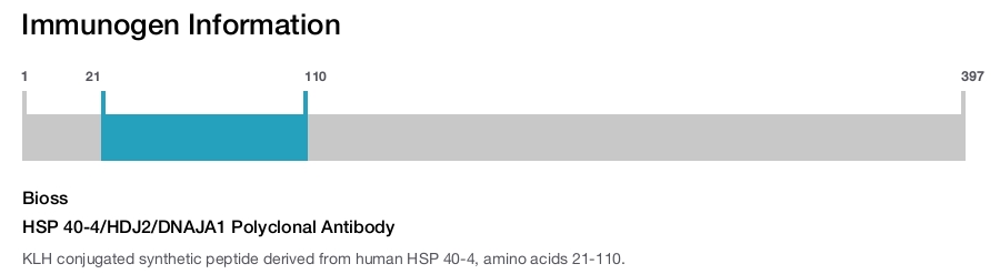 HSP 40-4/HDJ2/DNAJA1 Polyclonal Antibody