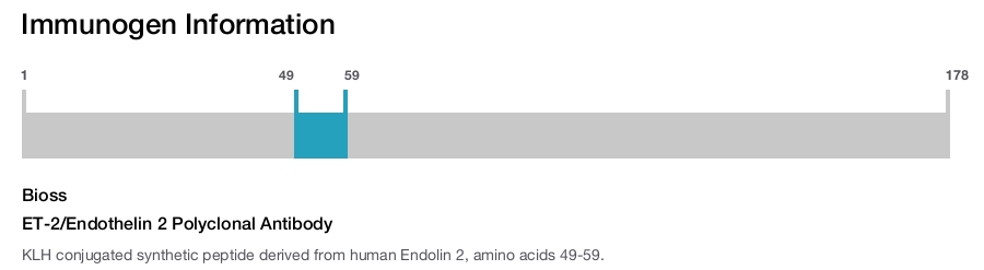 ET-2/Endothelin 2 Polyclonal Antibody