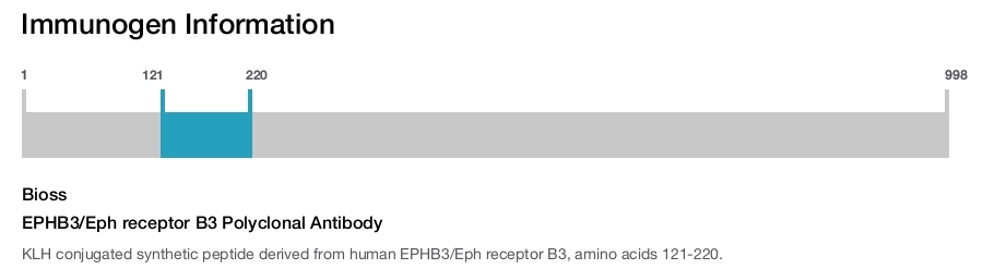 EPHB3/Eph receptor B3 Polyclonal Antibody