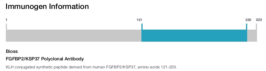 FGFBP2/KSP37 Polyclonal Antibody
