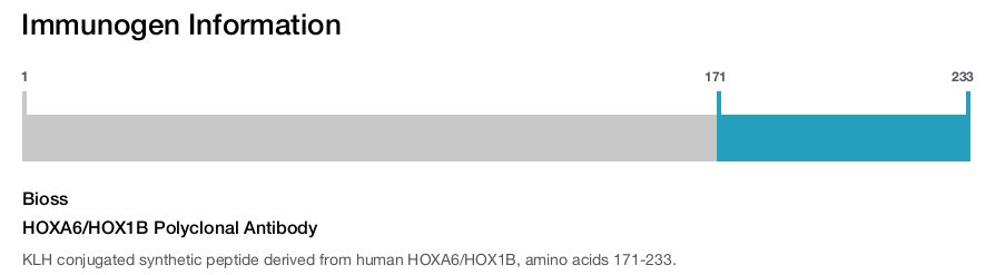 HOXA6/HOX1B Polyclonal Antibody