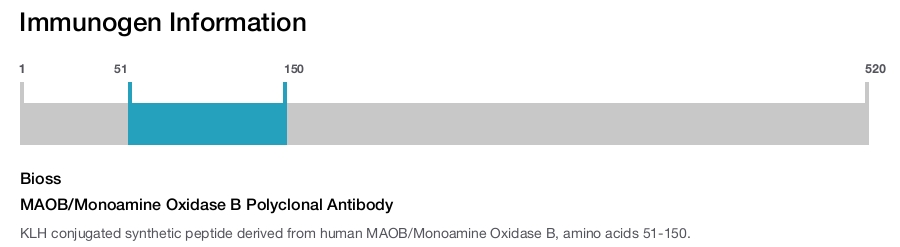 MAOB/Monoamine Oxidase B Polyclonal Antibody